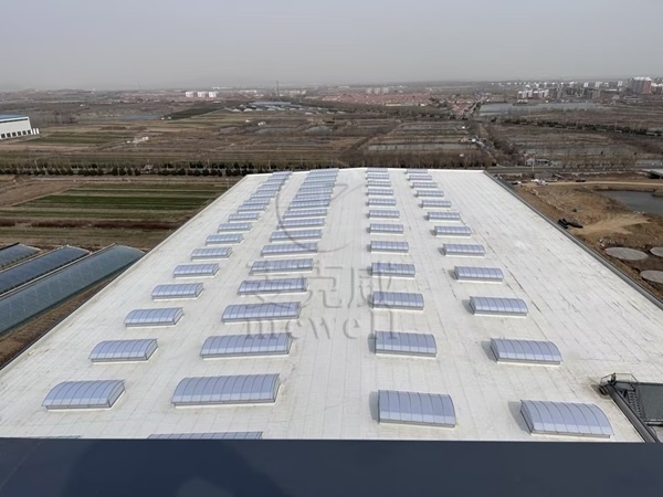 山東側(cè)開(kāi)式圓拱型采光排煙天窗